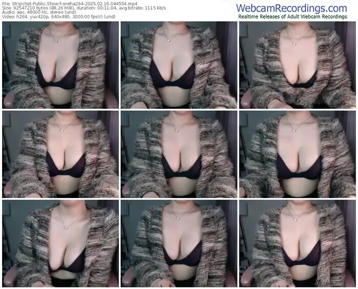 stripchat-sneha294-02-16-2025-04-45-54