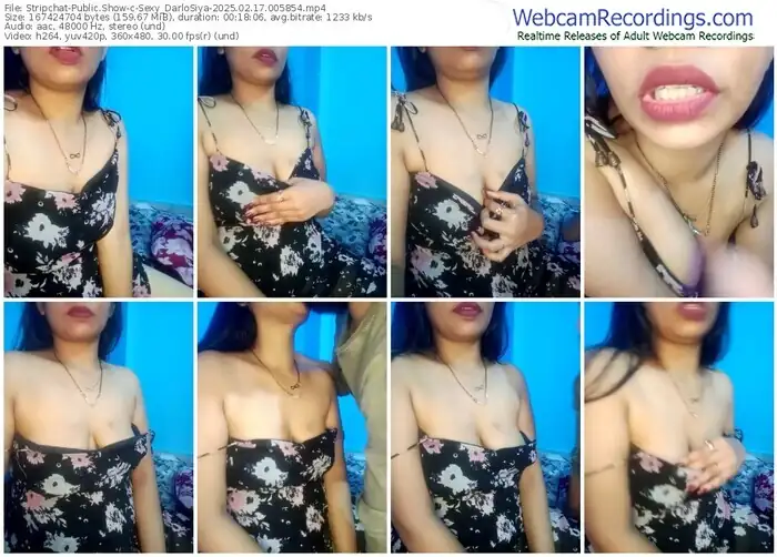 stripchat-sexy_darlosiya-02-17-2025-00-58-54