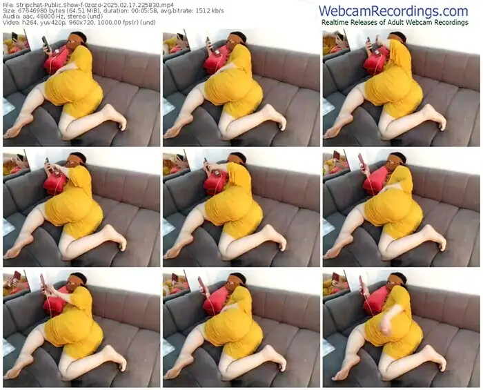 stripchat-0zozo-02-17-2025-22-58-30