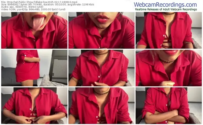 stripchat-blake-sia-02-17-2025-18-08-10