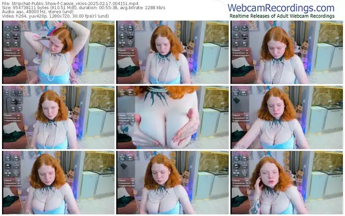 stripchat-cassie_xkiss-02-17-2025-00-41-51