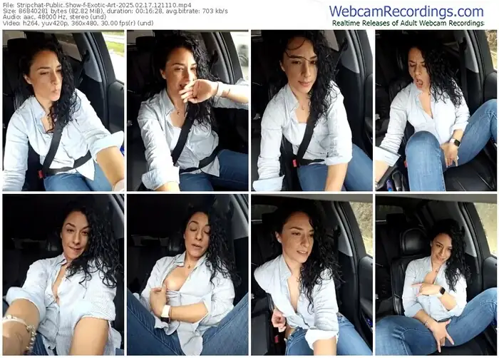 stripchat-exotic-art-02-17-2025-12-11-10