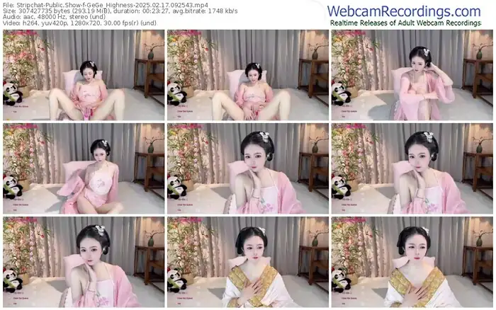 stripchat-gege_highness-02-17-2025-09-25-43