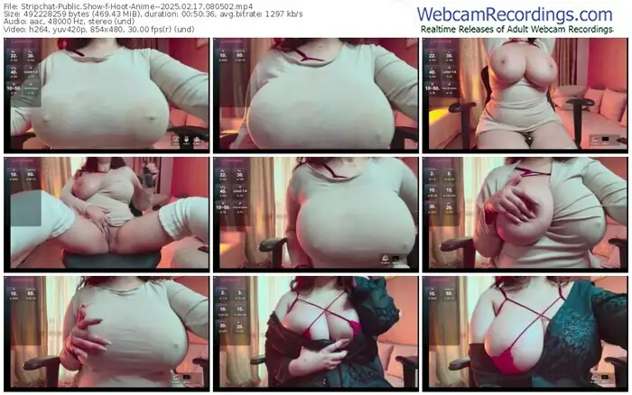 stripchat-hoot-anime--02-17-2025-08-05-02