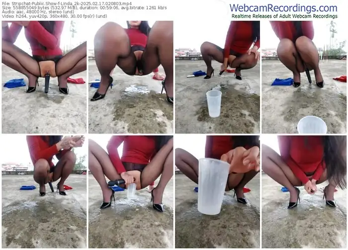 stripchat-linda_2k-02-17-2025-02-08-03