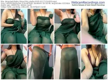 stripchat-ms_stella-02-17-2025-15-16-53