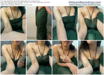 stripchat-ms_stella-02-17-2025-16-00-32