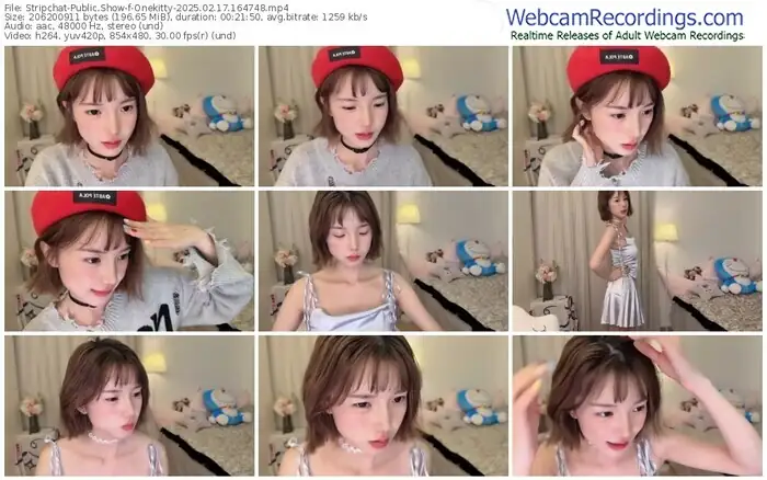 stripchat-onekitty-02-17-2025-16-47-48