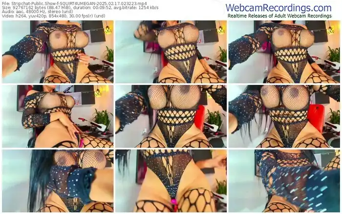 stripchat-squirt4umegan-02-17-2025-02-32-23