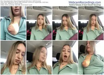 stripchat-stasywood-02-17-2025-02-51-32