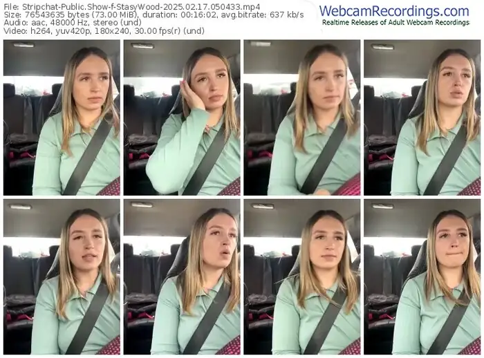 stripchat-stasywood-02-17-2025-05-04-33