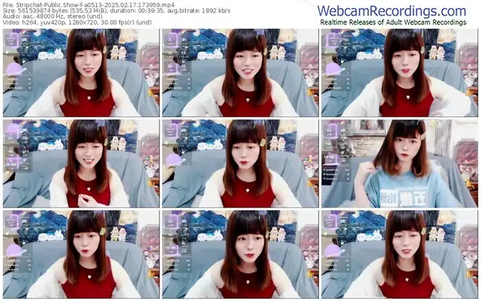 stripchat-a0513-02-17-2025-17-39-59