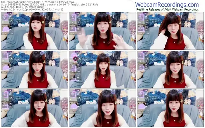 stripchat-a0513-02-17-2025-18-53-41