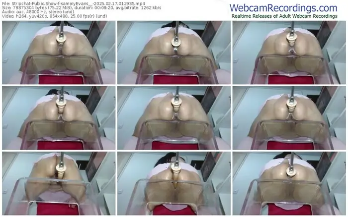 stripchat-sammyevans__-02-17-2025-01-29-35