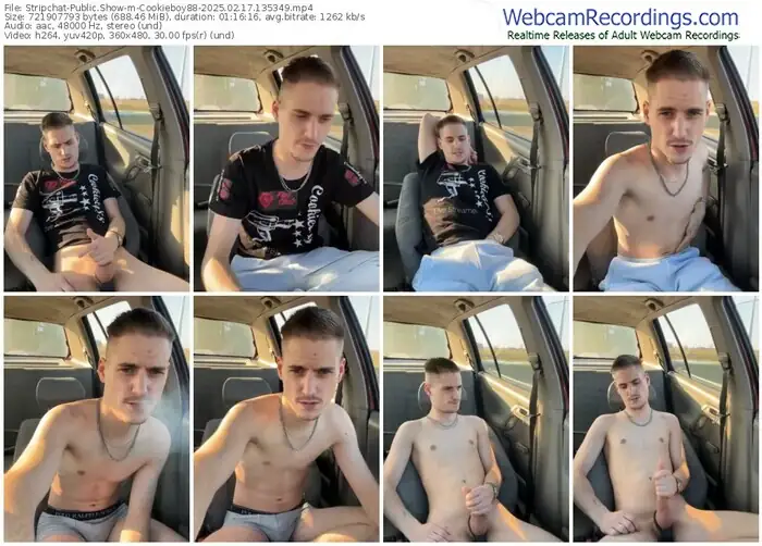 stripchat-cookieboy88-02-17-2025-13-53-49