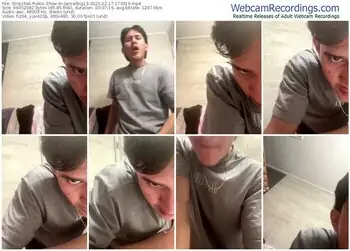 stripchat-jancelbig13-02-17-2025-17-39-19