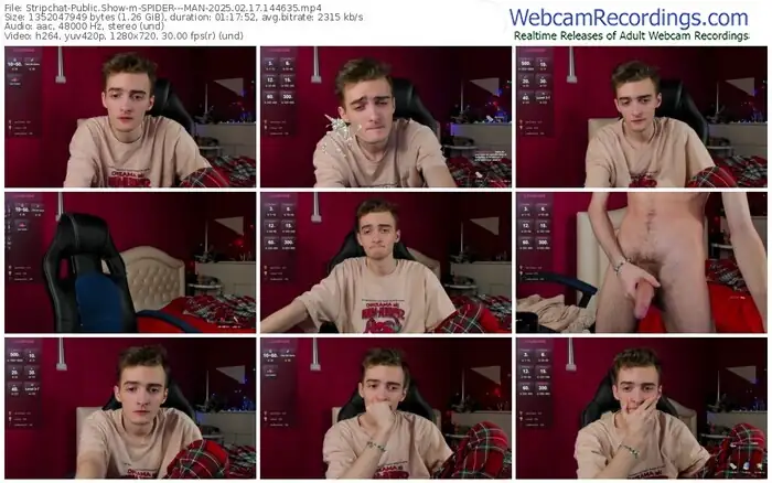 stripchat-spider---man-02-17-2025-14-46-35