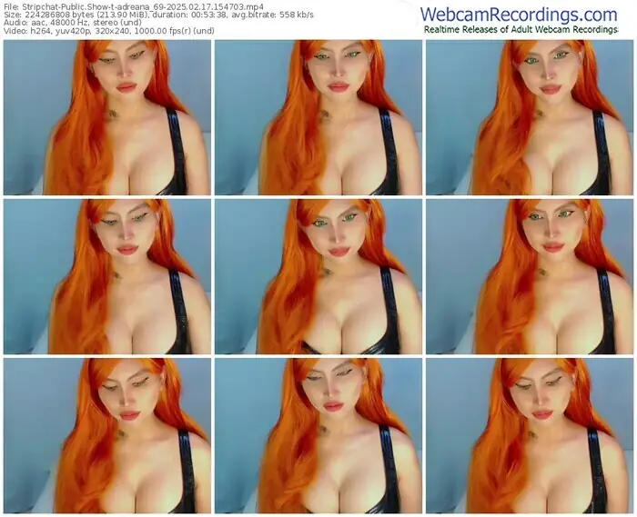 stripchat-adreana_69-02-17-2025-15-47-03
