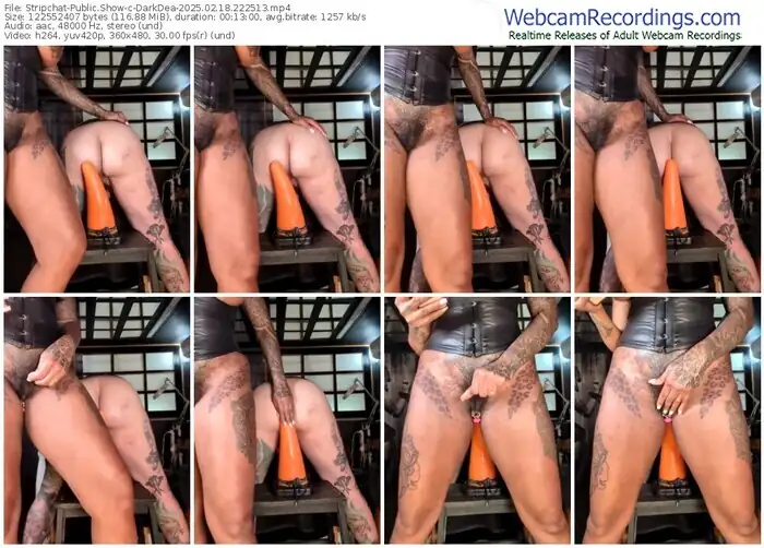 stripchat-darkdea-02-18-2025-22-25-13