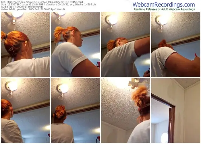 stripchat-dixiefaye_pika-02-18-2025-18-34-56