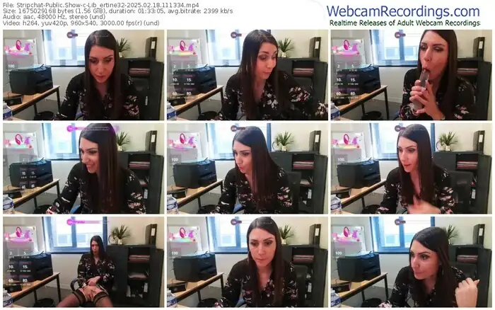 stripchat-lib_ertine32-02-18-2025-11-13-34