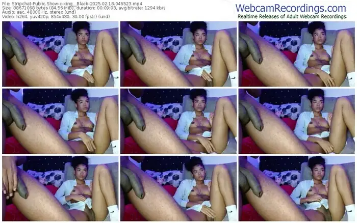 stripchat-king__black-02-18-2025-04-55-23