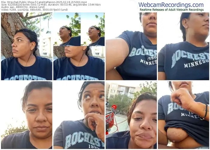 stripchat-canelitapasion-02-18-2025-21-50-00