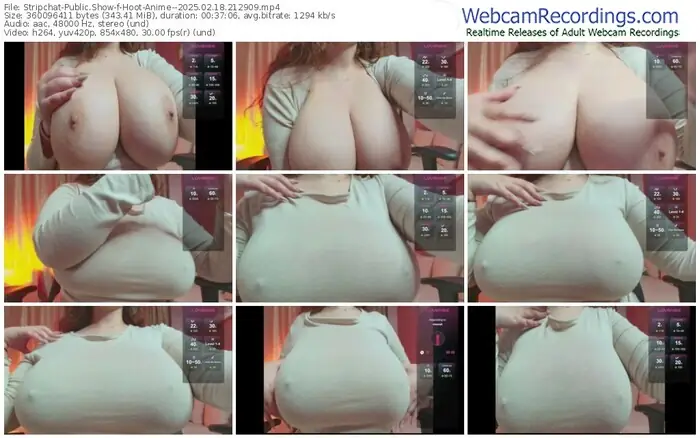 stripchat-hoot-anime--02-18-2025-21-29-09