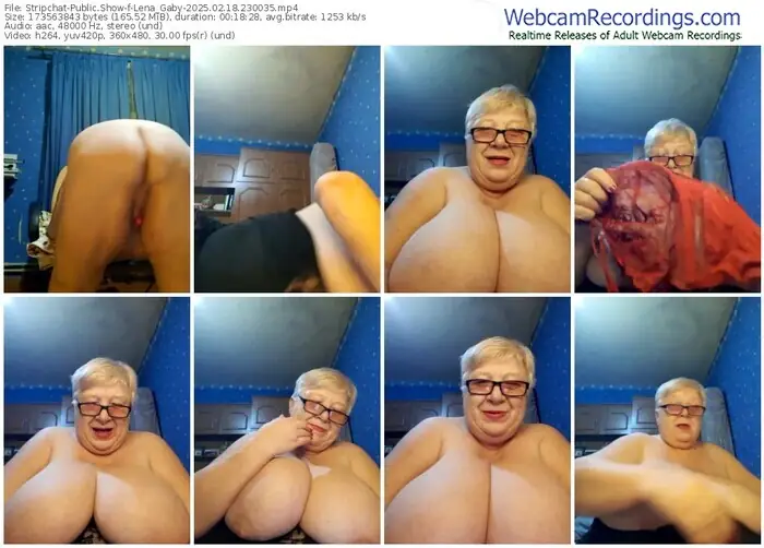 stripchat-lena_gaby-02-18-2025-23-00-35