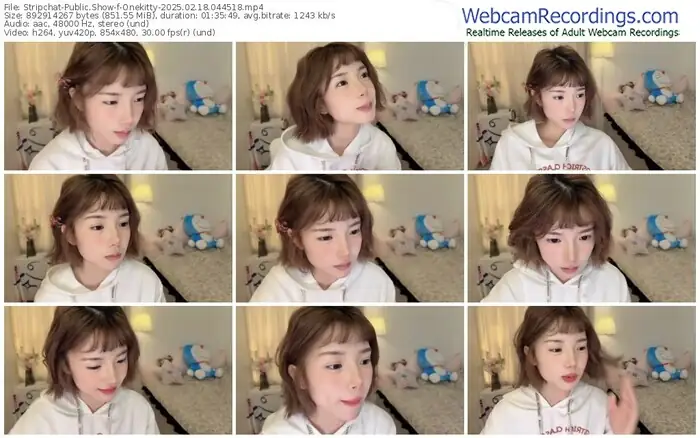 stripchat-onekitty-02-18-2025-04-45-18