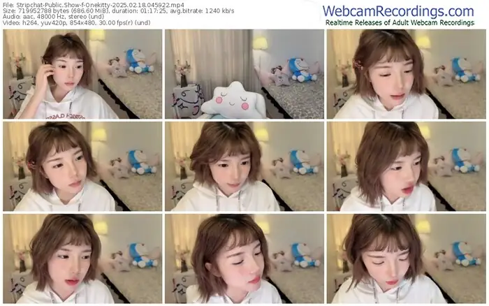 stripchat-onekitty-02-18-2025-04-59-22