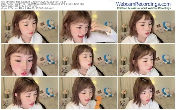 stripchat-onekitty-02-18-2025-14-54-49