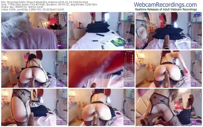 stripchat-alejandra_martins-02-18-2025-23-41-09