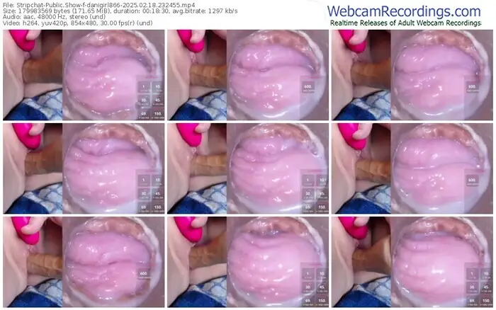 stripchat-danigirl866-02-18-2025-23-24-55