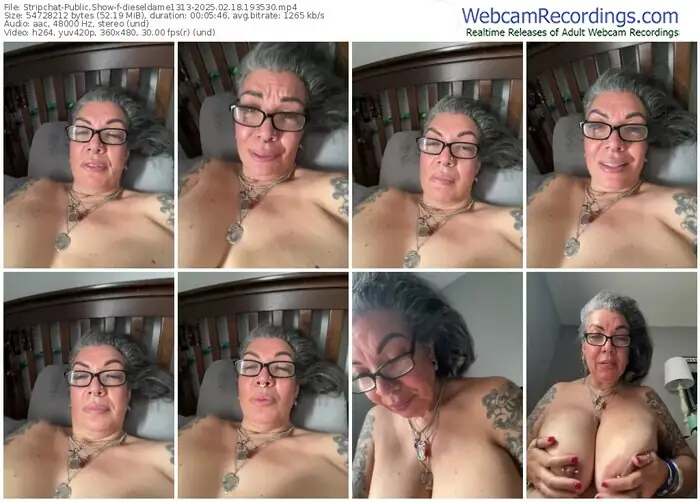 stripchat-dieseldame1313-02-18-2025-19-35-30