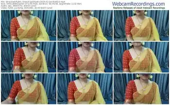 stripchat-goldiwets-02-18-2025-05-46-16