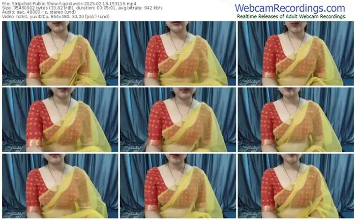 stripchat-goldiwets-02-18-2025-15-31-19
