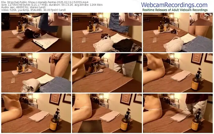 stripchat-hanabi-hentai-02-19-2025-15-23-55