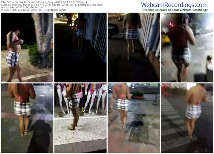 stripchat-kassie_greys-02-19-2025-03-10-06