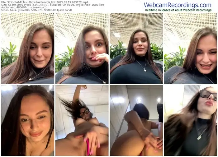 stripchat-artemida_hot-02-19-2025-09-37-52