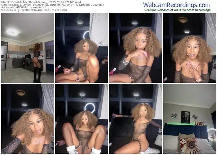 stripchat-dime-__-02-19-2025-17-24-06