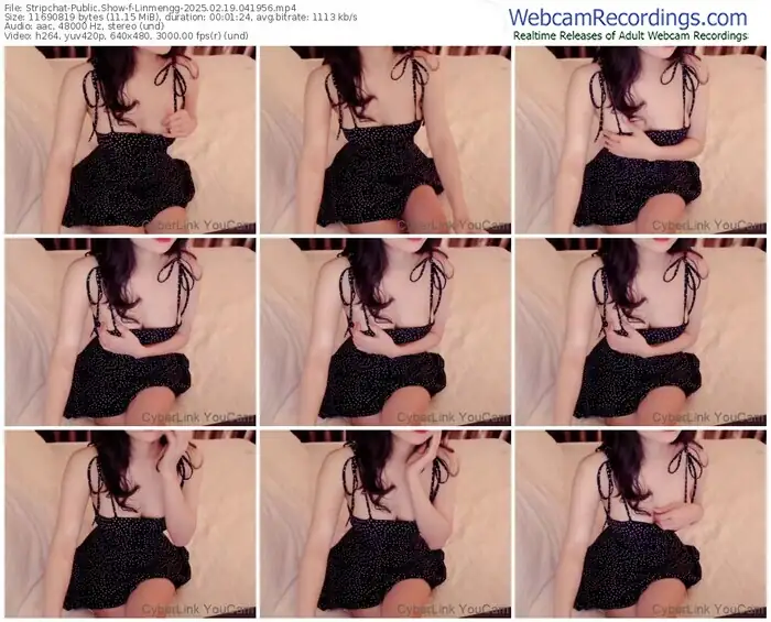 stripchat-linmengg-02-19-2025-04-19-56