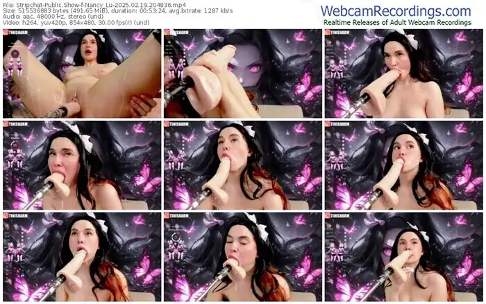 stripchat-nancy_lu-02-19-2025-20-48-36