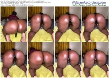 stripchat-nissyxsawee-02-19-2025-02-28-10