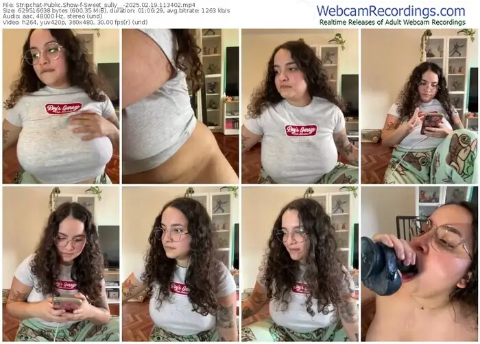 stripchat-sweet_sully__-02-19-2025-11-34-02