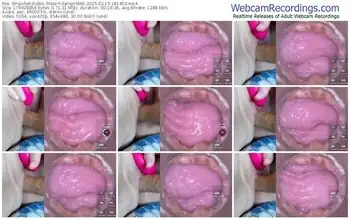 stripchat-danigirl866-02-19-2025-18-14-53