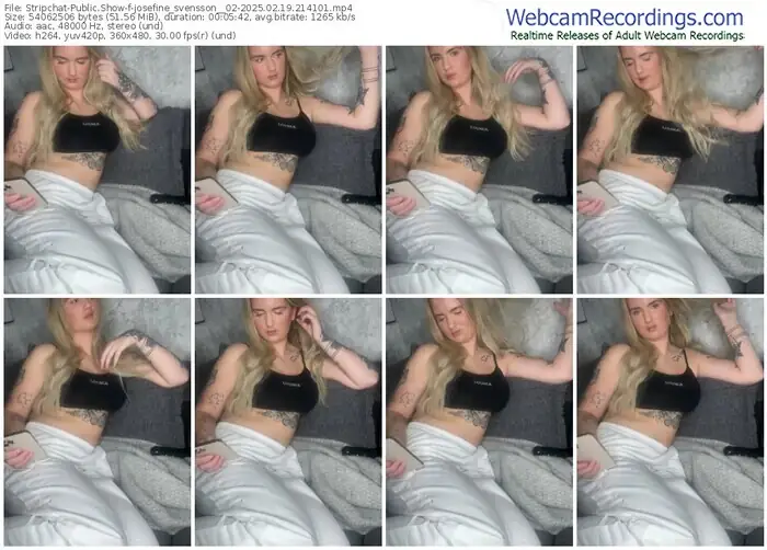 stripchat-josefine_svensson__02-02-19-2025-21-41-01