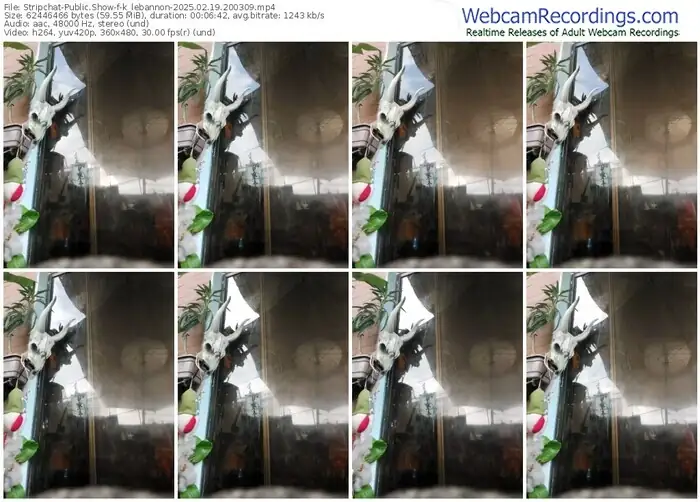 stripchat-k_lebannon-02-19-2025-20-03-09
