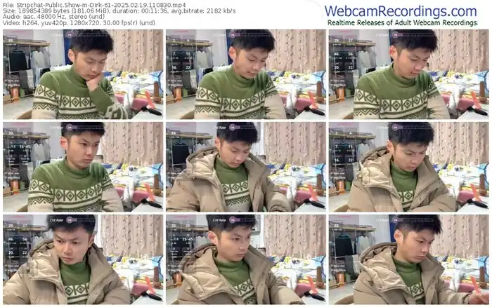 stripchat-dirk-61-02-19-2025-11-08-30