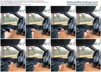 stripchat-themechanic420-02-19-2025-14-18-26